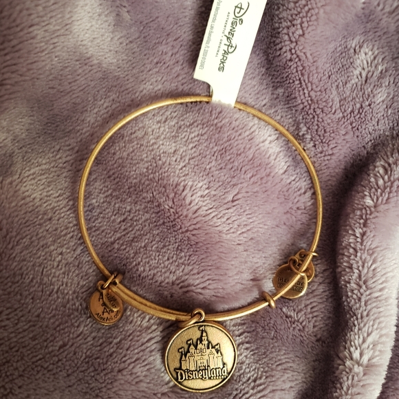 Alex and Ani Disneyland bracelet - Picture 3 of 3